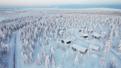 Drone-Aerial-Above-Snow-covered-Trees-in-Lapland,-Finland,-Arctic-Circle