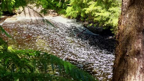 Río-Rojizo-Con-Espuma-Por-Contaminación-Con-Detergente,-Parque-Chiloé-Tepuhueico,-Ambiente-Natural-Afectado