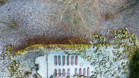 Aerial-top-down-view-of-bare-tree-and-abandoned-countryside-church-remains