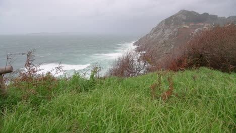 Green-grass-moving-with-the-wind-at-the-cliff-near-the-ocean
