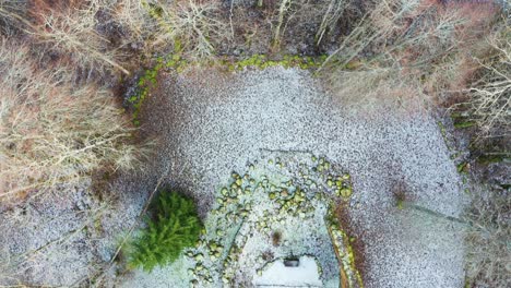 Aerial-reveal-of-abandoned-church-stone-boulder-wall-remains,-green-fir-tree
