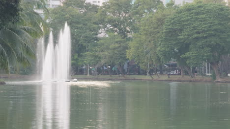 Parque-Forestal-Del-Lago-Lumpini-En-La-Ciudad-De-Bangkok,-Tailandia,-Naturaleza-Urbana-Prores