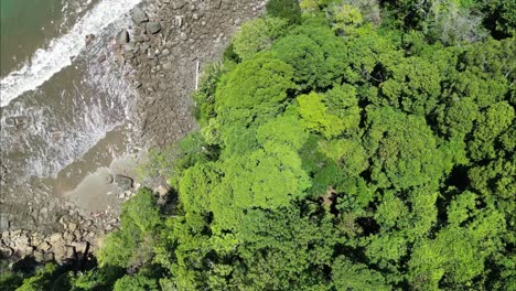 Volando-Desde-Una-Densa-Vegetación-Y-Revelando-Una-Pequeña-Playa-Escondida-En-La-Costa-De-Costa-Rica