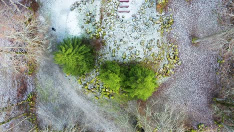 Aerial-view-of-abandoned-church-ruins-location-in-forest-with-green-fir-tree