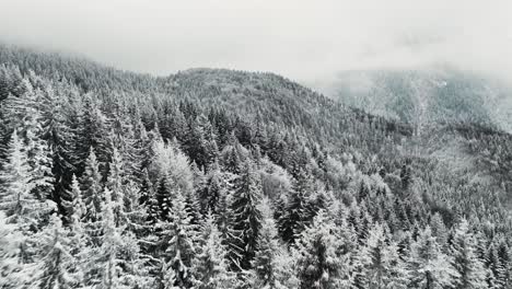 Drone-footage-of--Winter-Carpathian-Mountains,-Sinaia-Romania