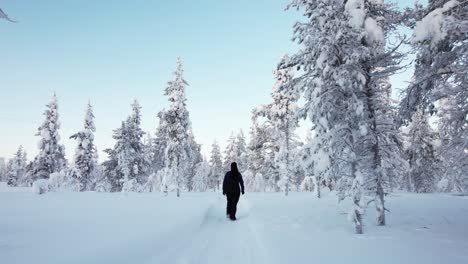 Girl-Walking-Through-Snowy-Forest-Trail-in-Lapland,-Finland,-Arctic-Circle