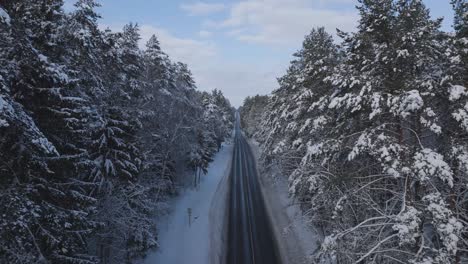 Die-Drohnenansicht-Fängt-Die-Ruhige-Fahrt-Eines-Fahrzeugs-Auf-Einer-Schneebedeckten-Straße-Inmitten-Der-Unberührten-Baltischen-Waldlandschaft-Ein