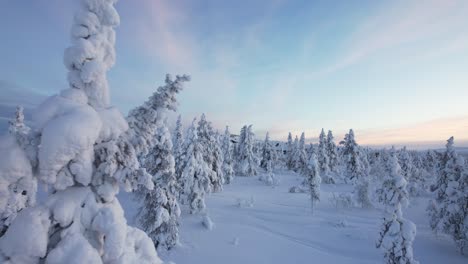 Drone-Shot-Flying-Through-Heavily-Snow-Covered-Trees-in-Lapland,-Finland,-Arctic-Circle