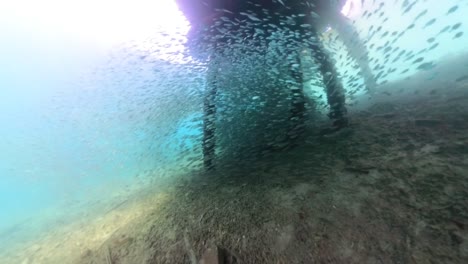 insta-360-footage-under-the-water