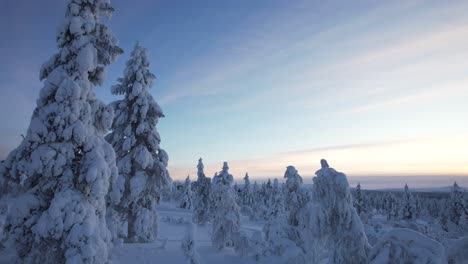 Drone-Flies-Low-in-Forest-in-Lapland,-Finland,-Arctic-Circle