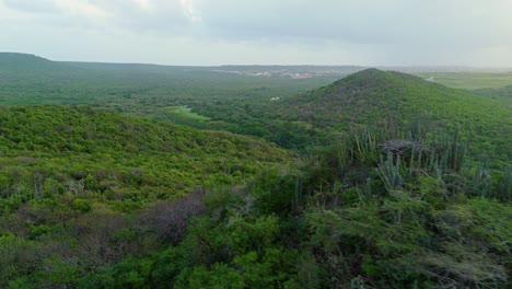 Cactus-spread-across-ridgeline-of-hill-in-Curacao-with-panoramic-views-of-lush-jungle,-aerial