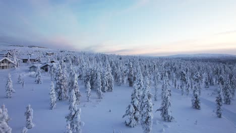 Drohne-Fliegt-Direkt-über-Baumwipfel-Im-Arktischen-Lappland-Finnland