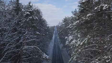 Drone-narrowly-avoids-treetops-as-cars-approach-on-a-Baltic-road-winter