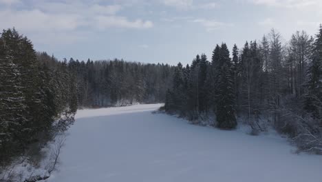 In-the-middle-of-the-day-the-drone-flies-over-a-frozen-lake-surrounded-by-a-snowy-Baltic-forest