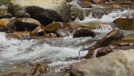B-roll-footage-of-a-running-river-in-nature