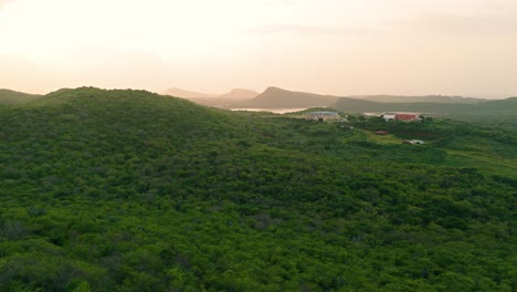 Drone-quickly-flies-above-jagged-dry-trees-to-mountains-of-Curacao-lush-hills