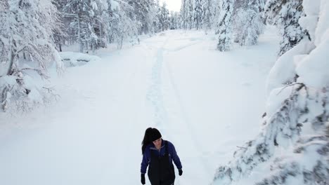 Niña-Caminando-Y-Admirando-árboles-Cubiertos-De-Nieve,-Vista-Aérea-De-Drones-En-Laponia,-Finlandia,-Círculo-ártico