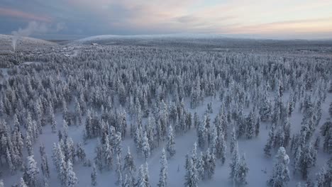 Vista-Aérea-Del-Paisaje-Cubierto-De-Nieve-Con-árboles-Cubiertos-De-Nieve-En-Laponia,-Finlandia,-Círculo-Polar-ártico.