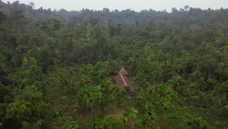 An-aerial-4K-drone-view-of-the-Mentawai-Tribe's-Uma,-their-home-located-deep-in-the-jungle