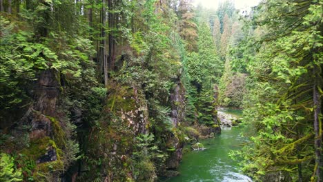 Flug-Durch-Vancouver-Vegetation-In-Einem-Tal-Mit-Einem-Fluss