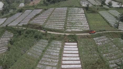 aerial-view,-jeep-tour-passing-through-mountains-in-vegetable-fields-in-Tawangmangu,-Indonesia