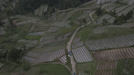 aerial-view,-jeep-tour-passing-through-mountains-in-vegetable-fields-in-Tawangmangu,-Indonesia