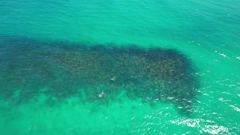 Reef-In-Palm-Beach---Southern-Gold-Coast,-Queensland,-QLD---Australia---Drone-Shot