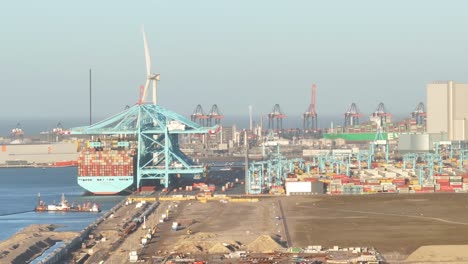 Arbeitsreicher-Tag-Am-APM-Containerterminal-In-Rotterdam-An-Einem-Sonnigen-Tag