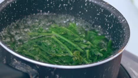 Ambient-motion-of-wild-edible-fiddlehead-ferns-or-Diplazium-esculentum-blanching-in-boiling-water-to-make-pako-salad,-an-authentic-Filipino-local-delicacy