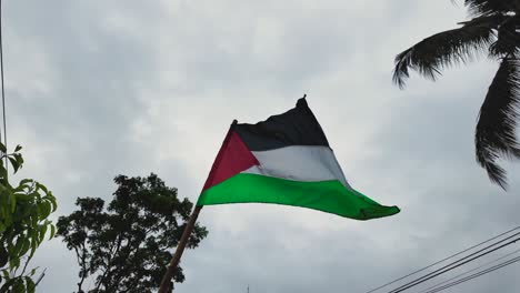 Zeitlupenvideo-Einer-Flagge-Palästinas,-Die-In-Indonesien-In-Der-Luft-Weht