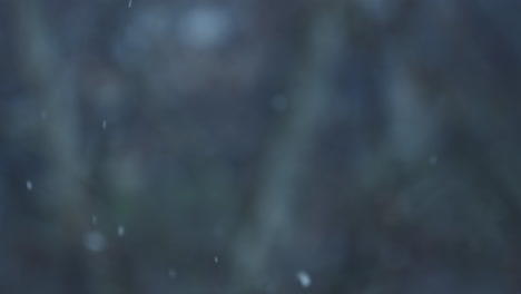 Winter-snow-falling-in-slow-motion-on-blur-background