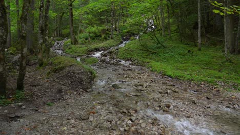 Stream-Runs-Down-the-Mountain-in-Gosausee-Region