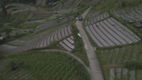 Luftaufnahme,-Jeep-Tour-Durch-Berge-In-Gemüsefeldern-In-Tawangmangu,-Indonesien