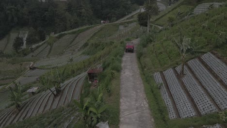 Vista-Aérea,-Recorrido-En-Jeep-Pasando-Por-Montañas-En-Campos-De-Hortalizas-En-Tawangmangu,-Indonesia