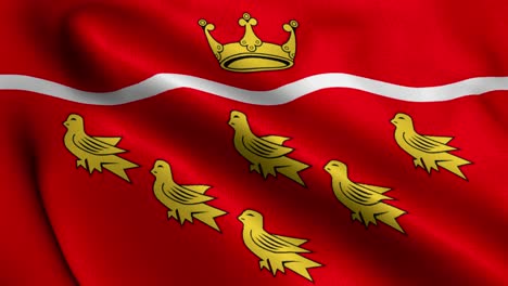 Bandera-De-La-Ciudad-Del-Este-De-Sussex