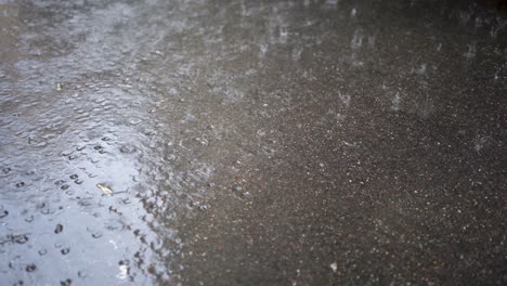 Raindrops-hitting-wet-asphalt-surface,-creating-ripples-and-splashes,-close-up,-daylight