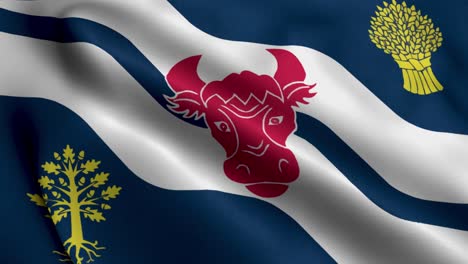 Bandera-De-La-Ciudad-De-Oxfordshire