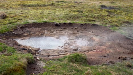 Steaming-geothermal-spring-in-Icelandic-landscape,-mossy-terrain,-bubbling-hot-water