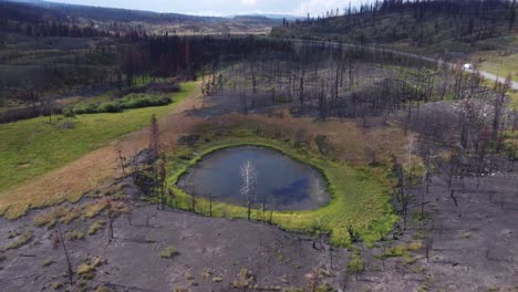 Footage-of-a-pond-next-to-burnt-trees-near-Nicola-valley-in-British-Columbia,-Canada