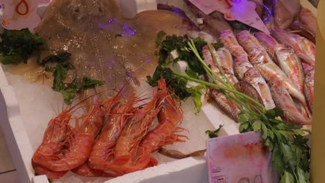 Locally-caught-raw-fresh-seafood-on-display-at-Italian-fishmongers-marketplace,-CLOSE-UP