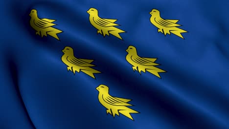 Bandera-De-La-Ciudad-De-Sussex