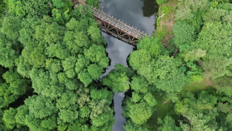 Embark-on-a-visual-journey-through-the-forest-landscape,-observing-an-aged-railway-bridge-in-disrepair-over-the-river-below,-captured-from-a-bird's-eye-view