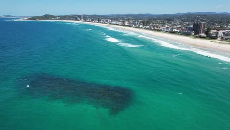 Palm-Beach-Reef---Gold-Coast---Queensland-QLD---Australia---Drone-Shot