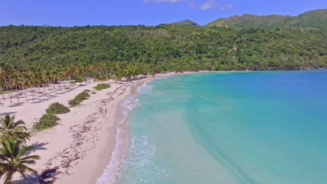 Aerial-establishing-shot-of-empty-Playa-Rincon-Beach-with-Palms-and-Turquoise-water
