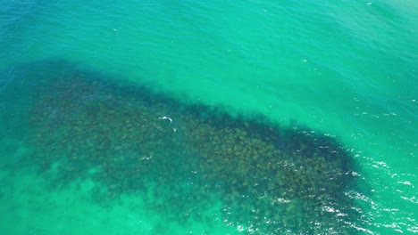 Reef-To-Pan-Up-Of-Palm-Beach---Gold-Coast---Queensland-QLD---Australia---Drone-Shot