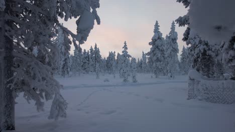 Drone-Flys-At-Dusk,-Between-Trees-In-Snowy-Forest-In-Lapland,-Finland,-Arctic-Circle