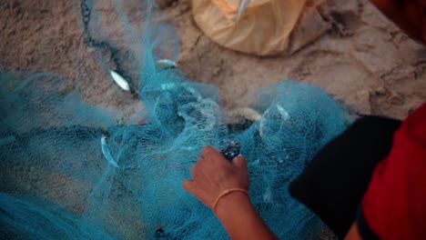 Local-Thai-Fisherman-Removes-Small-Fish-From-Blue-Fishing-Net