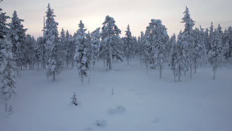 Drone-Descends-Into-Snowy-Winter-Wonderland-in-Lapland,-Finland,-Arctic-Circle