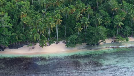 Versteckter-Strand-Playita-Mit-Tropischen-Palmen-Und-Korallen-Im-Klaren-Wasser