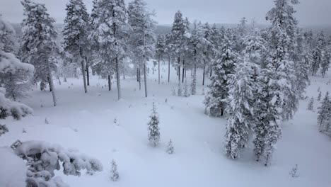 Drone-Descends-Into-Scenic-Winter-Wonderland-in-Lapland,-Finland,-Arctic-Circle